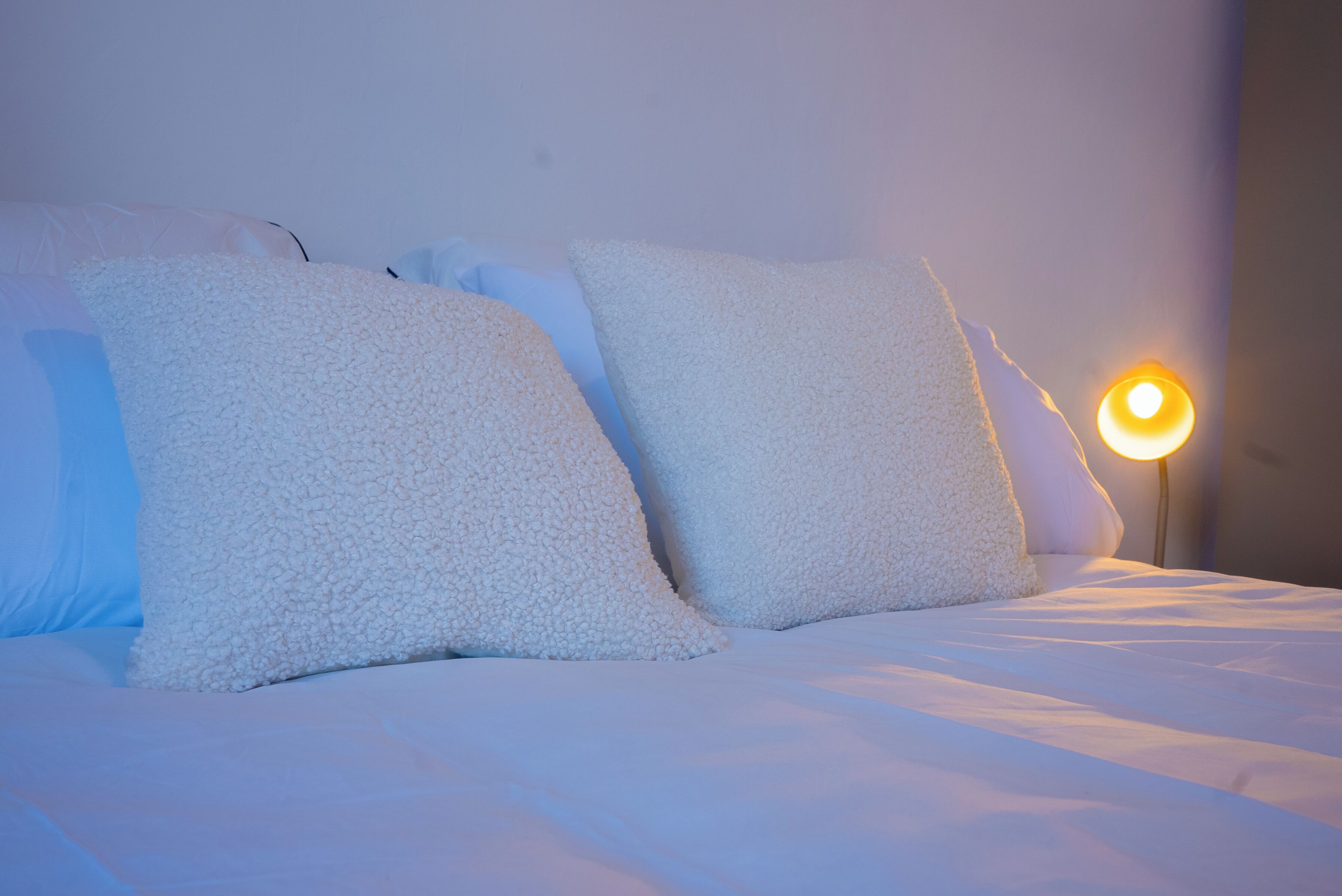 A bed with white bedding and pillows, a bedside lamp, and a plain wall.