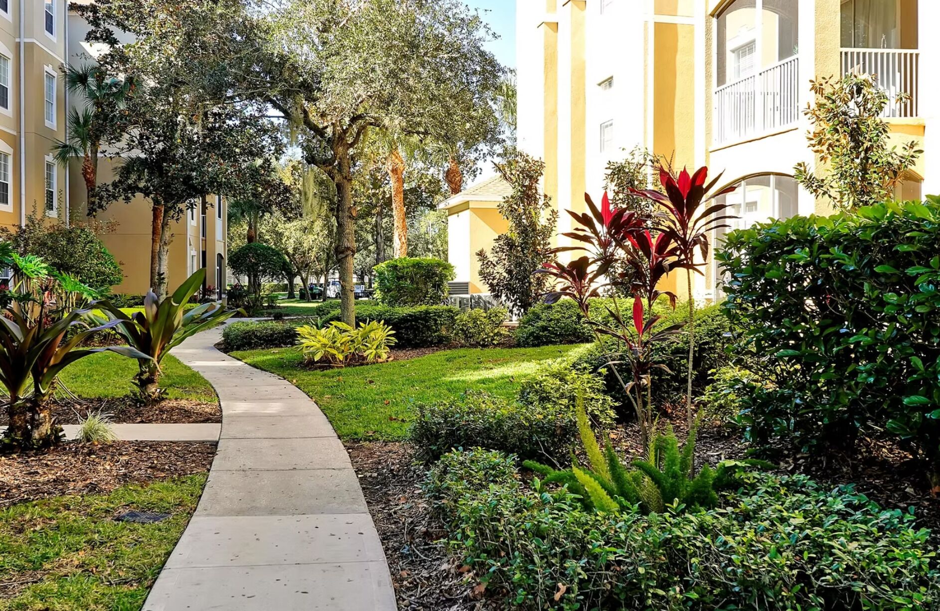 A pathway leading through a landscaped area with various plants and trees, flanked by buildings with balconies.
