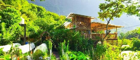 Une cabane en bois, entourée d’une végétation luxuriante, avec une chaîne de montagnes en arrière-plan.