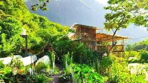 Una cabaña de madera rodeada de abundante vegetación y un paisaje montañoso.