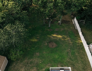 An aerial view of a grassy yard with trees and a white fence.