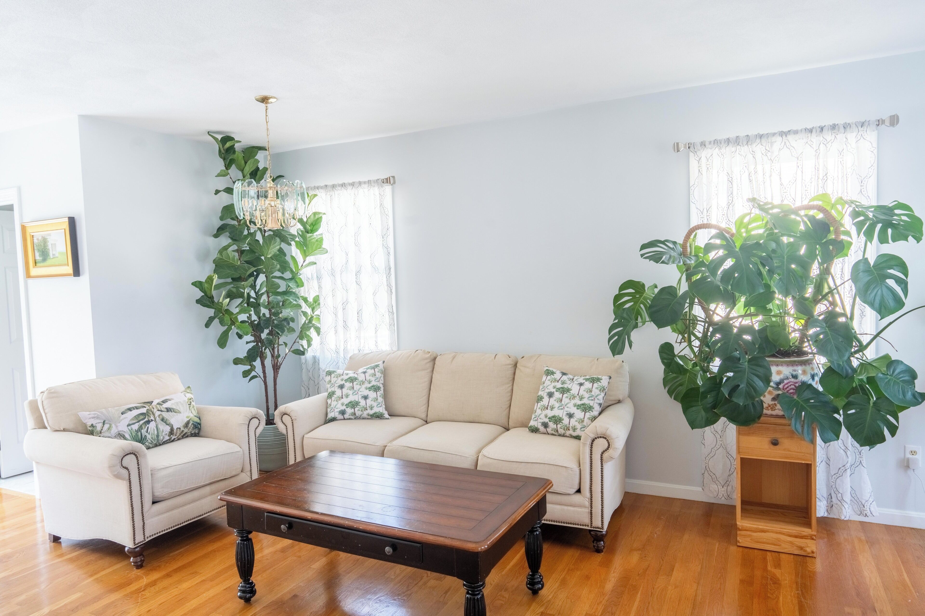 A living room with a sofa, two armchairs, a coffee table, a chandelier, and large potted plants.