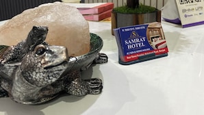 Pöydällä on suolalamppu, pieni keinotekoinen puu, QR-koodilla varustettu kyltti ja hotellin esite.