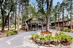 A cabin with a covered porch, surrounded by tall pine trees.