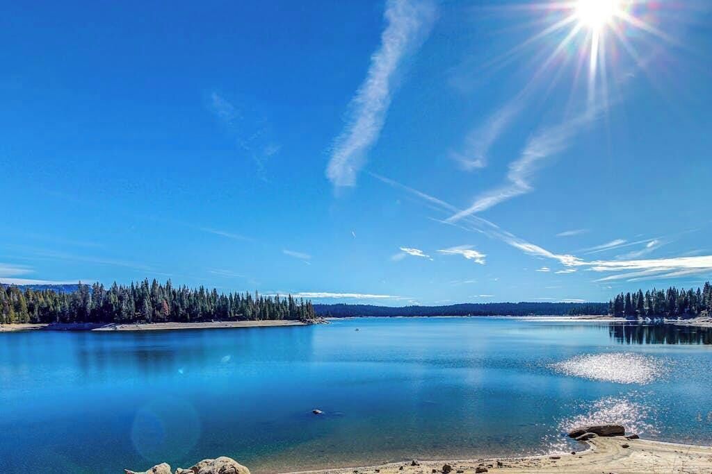 A calm lake with a clear sky, surrounded by dense forest.