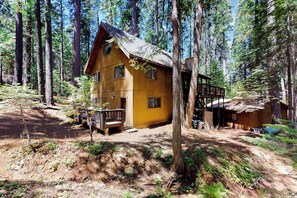 Eine Blockhütte mit einer Terrasse, umgeben von hohen Bäumen.