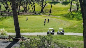 Ein Golfplatz mit Bäumen, einem Fußweg und Golfcarts.