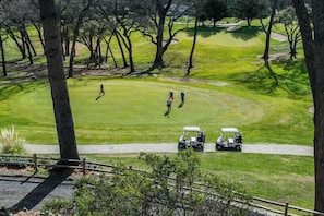 Ein Golfplatz mit Bäumen, einem Fußweg und Golfcarts.
