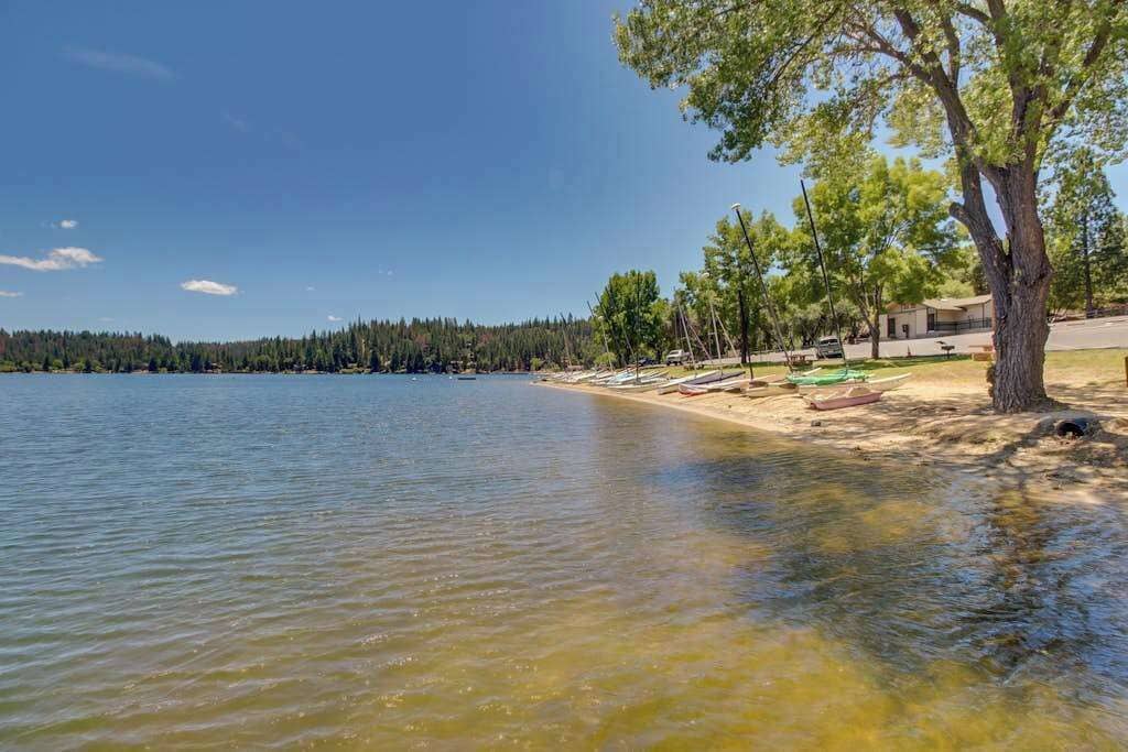 A lakeside view with clear water, a sandy beach, and a row of trees.