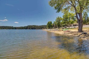 A lakeside property with a sandy beach, a large tree, and a building in the background. - Cozy Cabin - Pine Mountain Lake (Groveland)