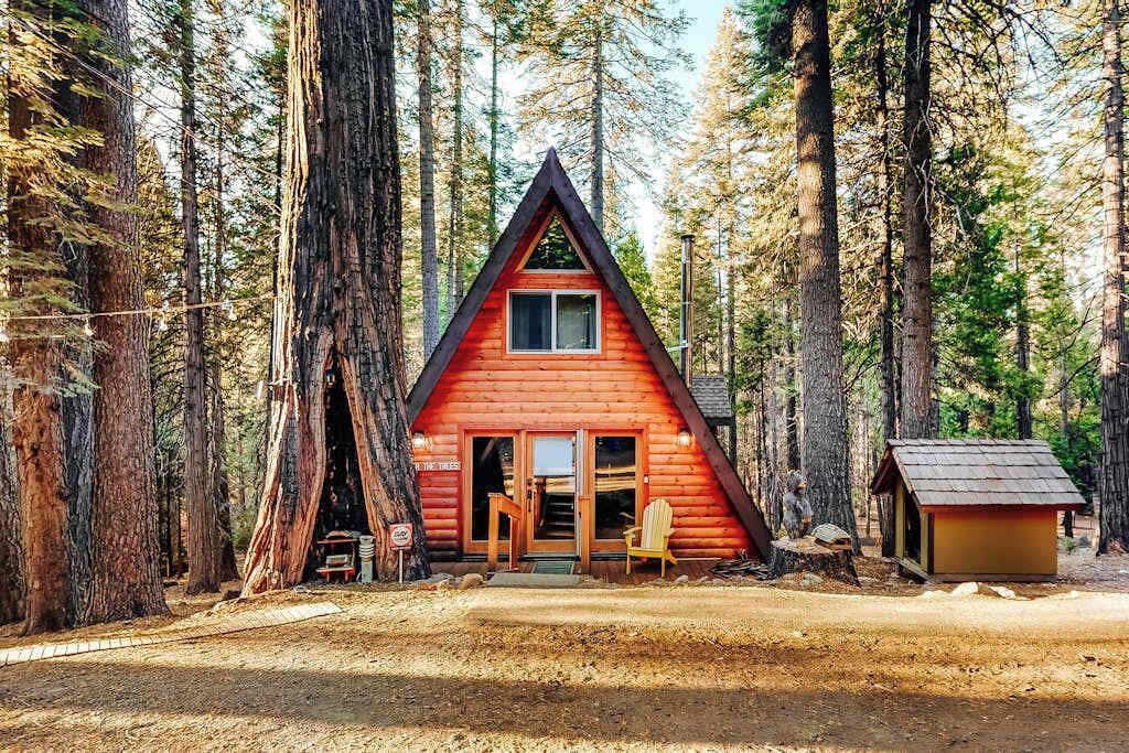 A cabin with a triangular roof, a front porch, and a small adjacent shed in a forested area.