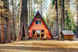 A cabin with a triangular roof, a front porch, and a small adjacent shed in a forested area. - Under The Trees - Big Trees Village (Camp Connell)