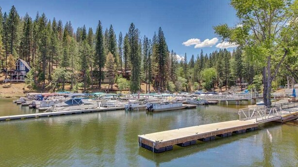 A marina with docked boats, a wooden pier, and a forested backdrop. - Creekside Cabin - Pine Mountain Lake (Groveland)