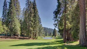 Een golfbaan met een vijver, omringd door hoge dennenbomen.