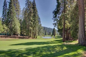 A golf course with a pond, surrounded by tall pine trees. - Bear's Meadow - Meadowmont (Arnold)