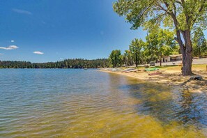 A lakeside property with a clear view of the water, a sandy beach, and a row of trees.