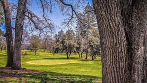 Un campo de golf con árboles y cielo despejado.
