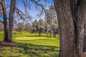 Ein Golfplatz mit Bäumen und blauem Himmel.