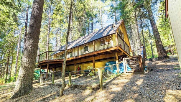 A cabin with a wooden deck and multiple windows, surrounded by tall trees. - The Jug Handle Hideaway - Snowshoe Springs (Arnold)