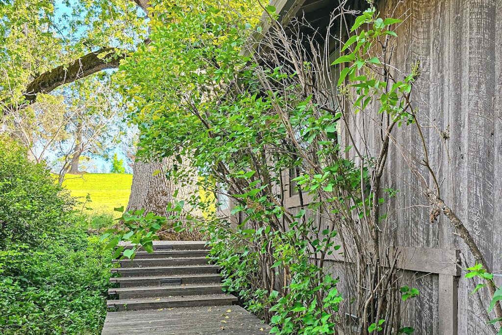 A wooden staircase leading up to a rustic building surrounded by greenery.
