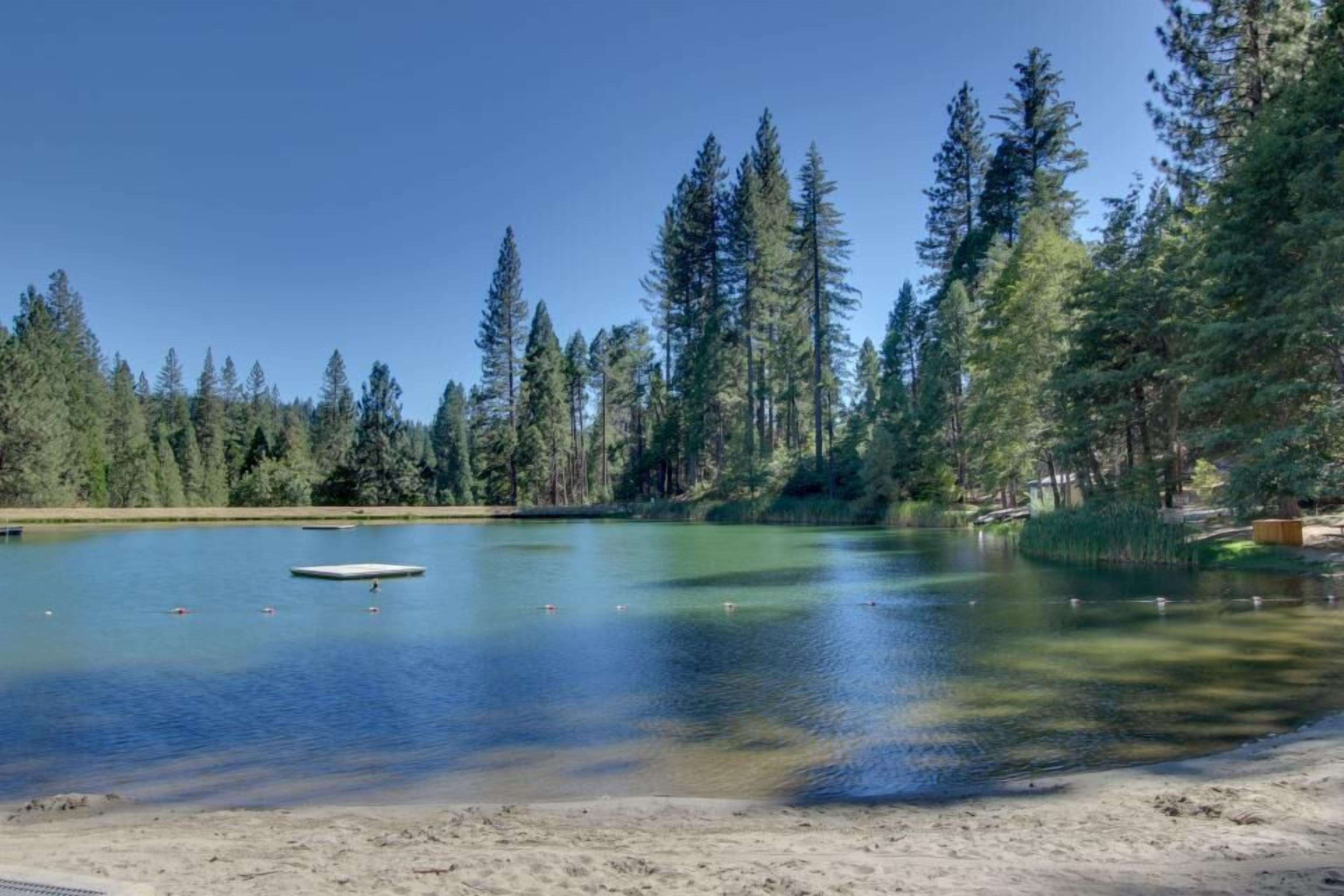 Ein friedlicher See, umgeben von dichtem Wald, ruhigem Wasser und einem sandigen Ufer.