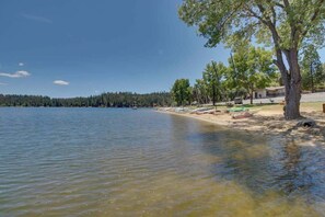 A lakeside property with a sandy beach, a large tree, and a clear view of the water. - Lake Lodge Retreat - Pine Mountain Lake (Groveland)