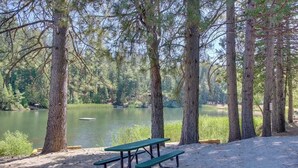 Ein Picknicktisch in einer bewaldeten Gegend, im Hintergrund ein See.