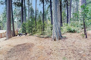 A forested area with tall trees, a dirt path, and a wooden structure. - Venado Villa - Meadowmont (Arnold)