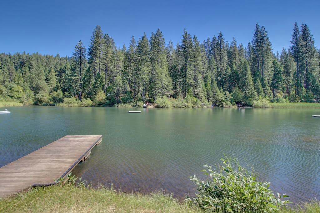 Un lago tranquilo con un muelle de madera que se adentra en el agua, rodeado de un bosque denso.