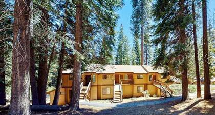 Big Mountain, Little Condo - Huntington Lake
