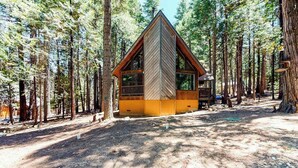 A cabin with a triangular roof, surrounded by tall pine trees. - The Arrow House - Big Tree Village (Camp Connell)