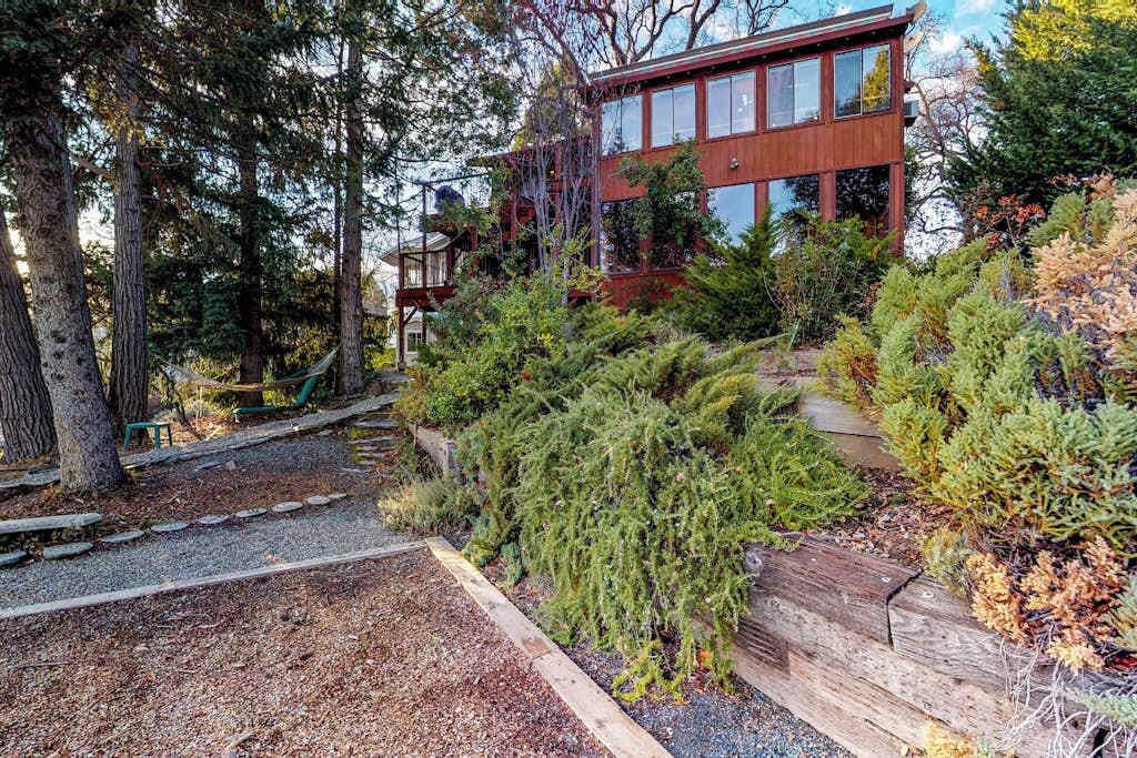 A modern wooden building with large windows, surrounded by dense forest and a gravel path.