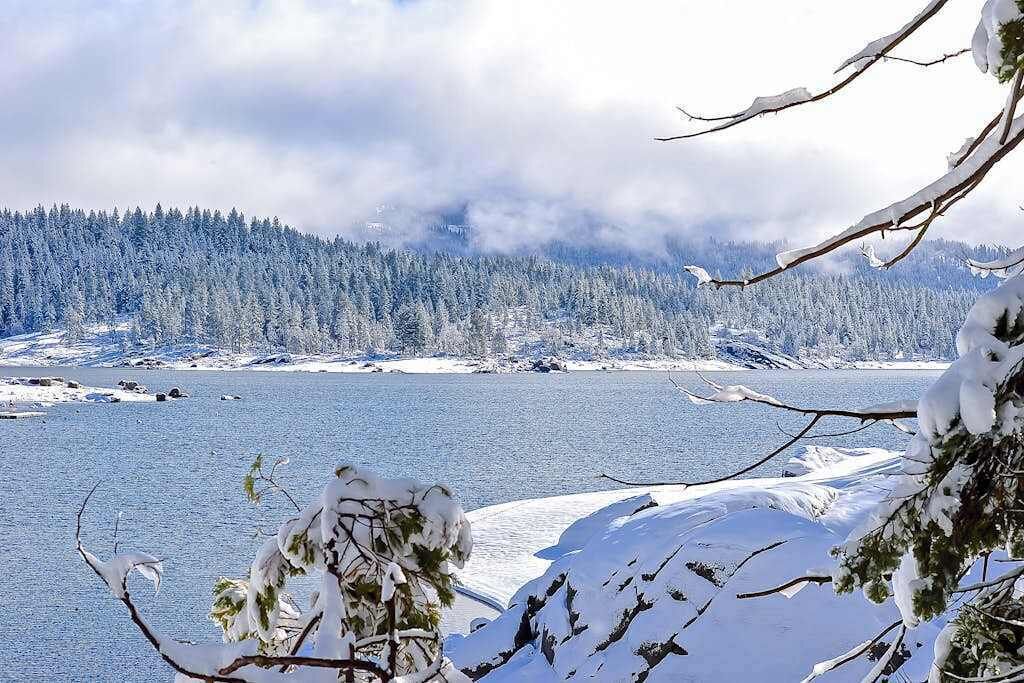 Un paisaje nevado con un lago y bosque.