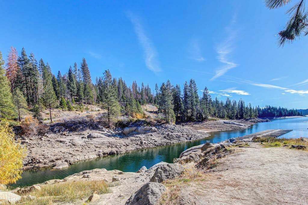 A river with a rocky shoreline and dense forest.