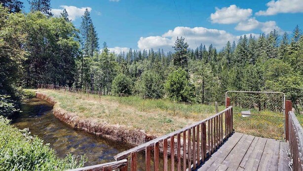 Un puente de madera sobre un arroyo con un bosque de fondo.
