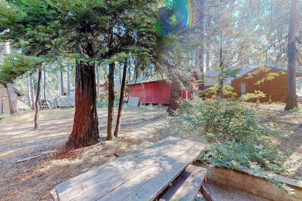 A forested area with a wooden deck and a red building.