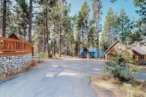 Eine Holzhütte mit steinernen Fundamenten, umgeben von hohen Kiefern.