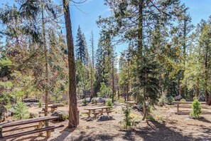 A campground with picnic tables and trees. - Alder Hill Hideaway - Wildflower Village (Shaver Lake)