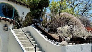 A concrete staircase leading up to a building with a white facade, surrounded by various plants and a cactus.