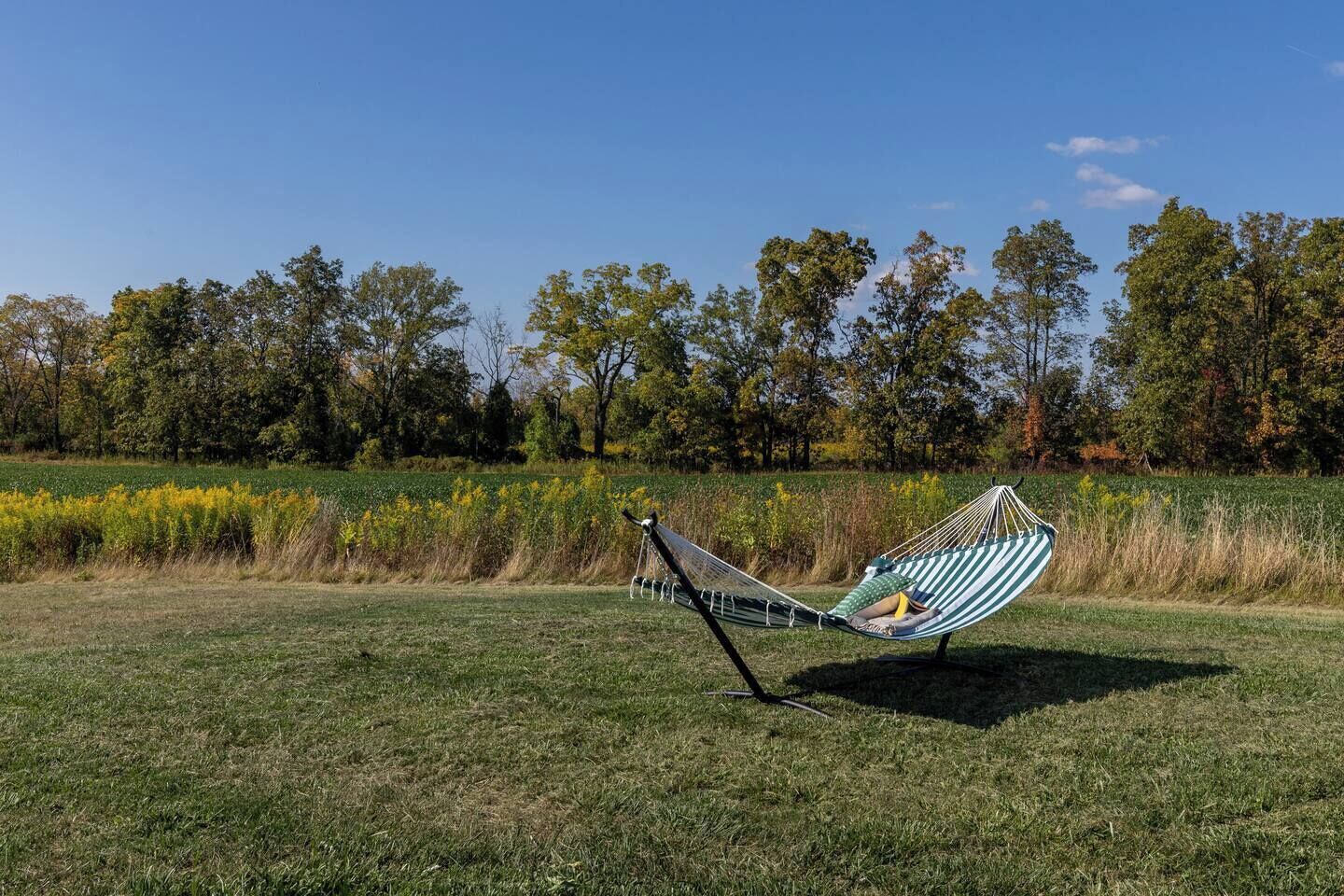 A hammock in a grassy field with trees in the background.