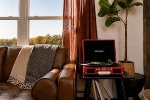 Cozy leather sofa, vinyl player, and scenic window views - Last Light Outdoor Retreat | Seneca Modern | Seneca Wine Trail | Firepit (Lodi)