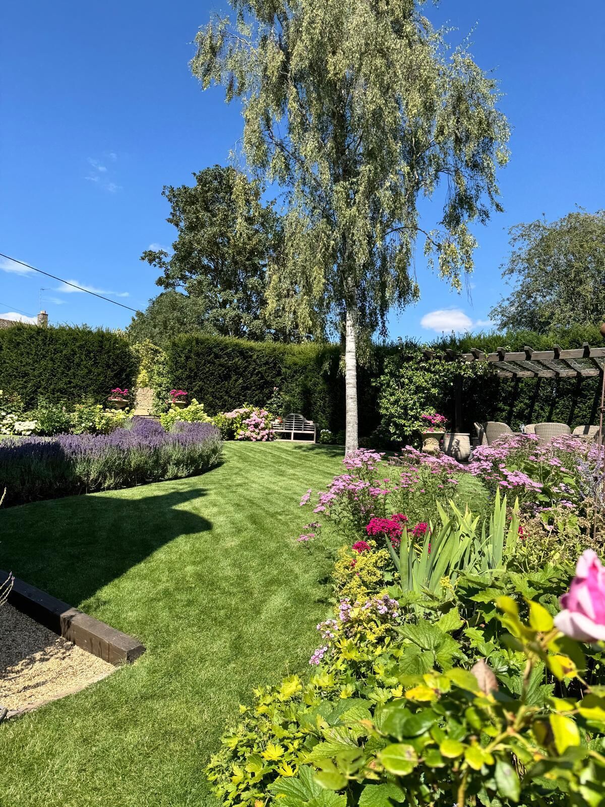Un jardin bien entretenu, agrémenté de diverses plantes et fleurs, avec une pelouse soigneusement taillée et une pergola en bois.