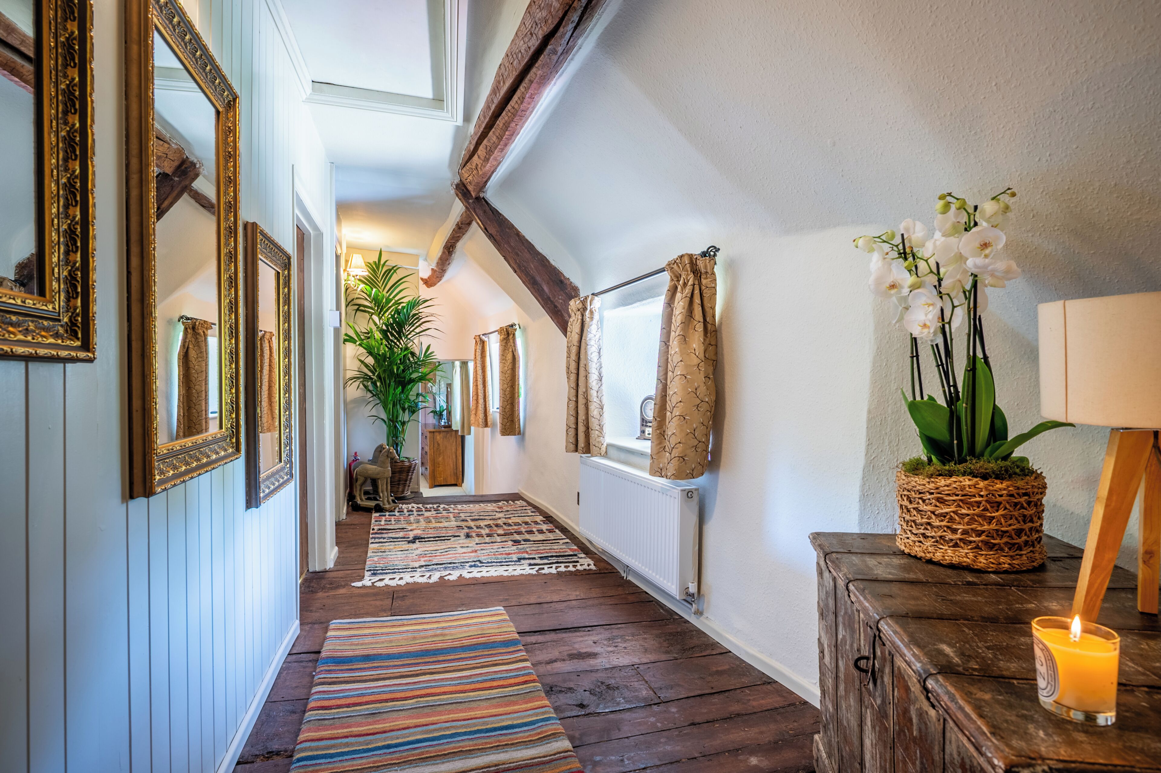 A hallway with wooden flooring, a radiator, and a plant.
