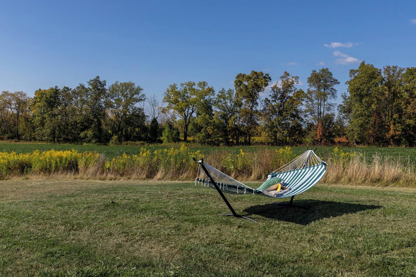 A hammock in a grassy field with trees in the background.