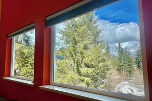 A room with two windows, each with a view of dense green trees and a clear blue sky.