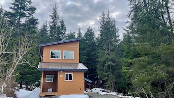 A two-story wooden cabin with a metal roof, surrounded by dense forest.