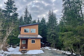 A two-story wooden cabin with a metal roof, surrounded by dense forest.