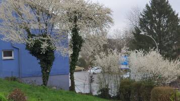 A residential area with a blue building, cherry blossom trees, and a street with parked cars.