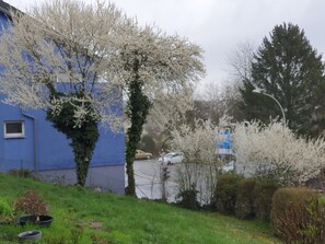 Ein Wohngebiet mit einem blauen Gebäude, Kirschbäumen und einer Straße mit geparkten Autos.