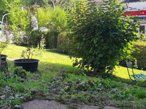 A garden with various plants and a bench.